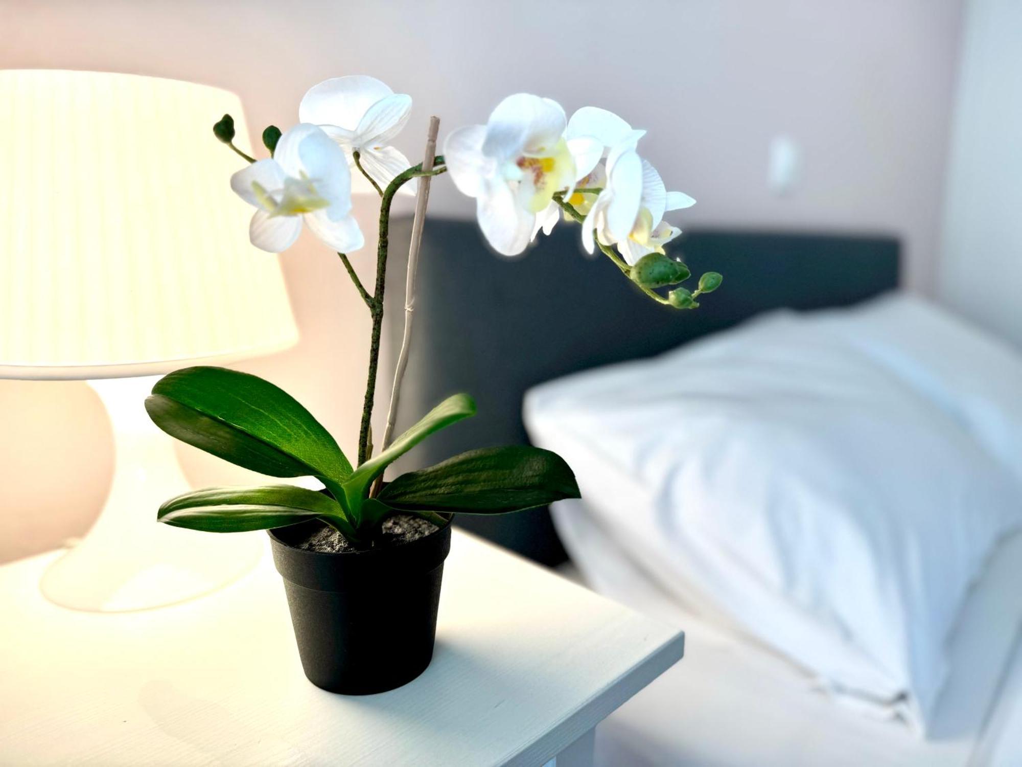 Sun Beach Apartment Анависос Екстериор снимка